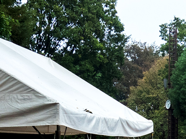 テント清掃の写真
