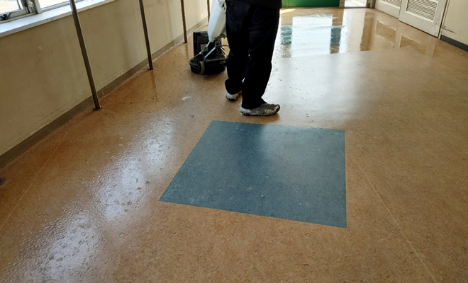 洗浄ワックス清掃3